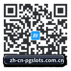 Android APP 二维码